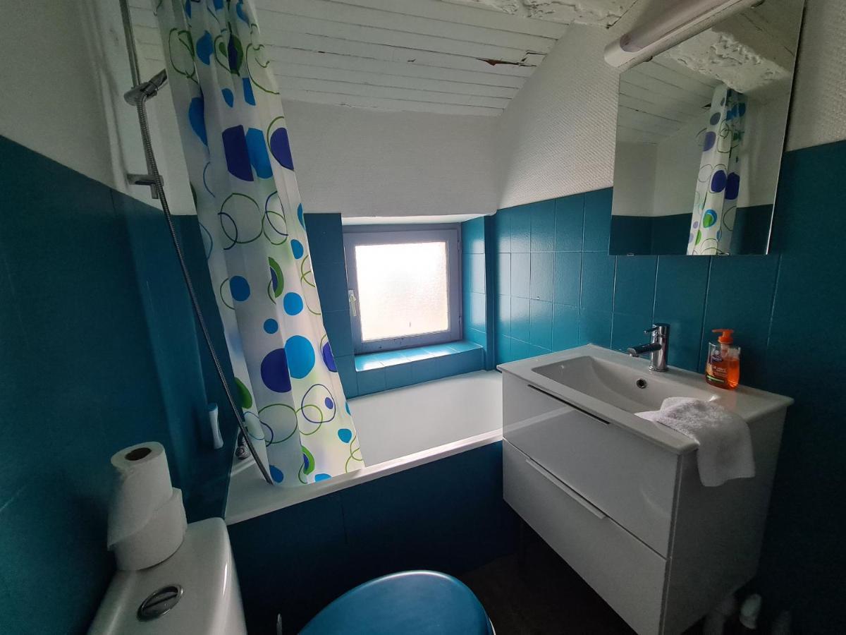 Les Cosy De Nancy - Le Duplex Aux Flammants Roses - 4Etoiles Apartment ภายนอก รูปภาพ