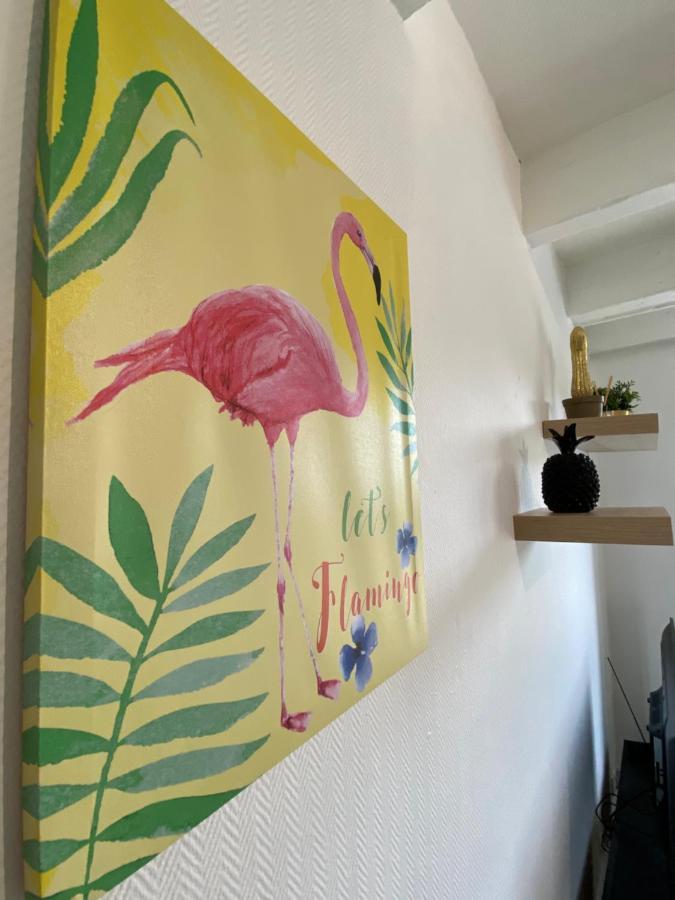 Les Cosy De Nancy - Le Duplex Aux Flammants Roses - 4Etoiles Apartment ภายนอก รูปภาพ